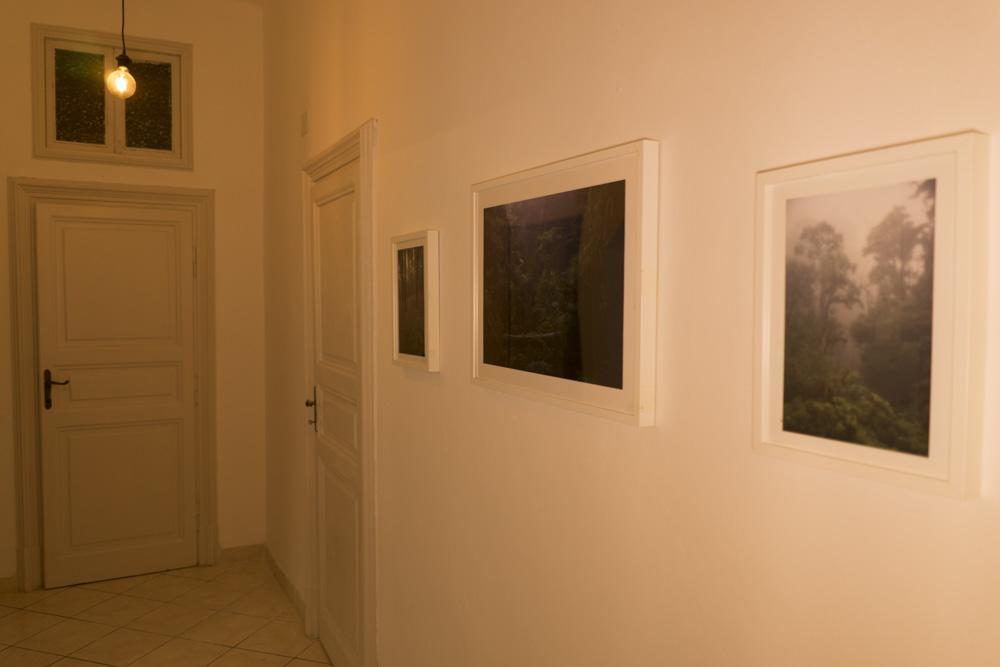 Trastevere Corner Eight روما المظهر الخارجي الصورة